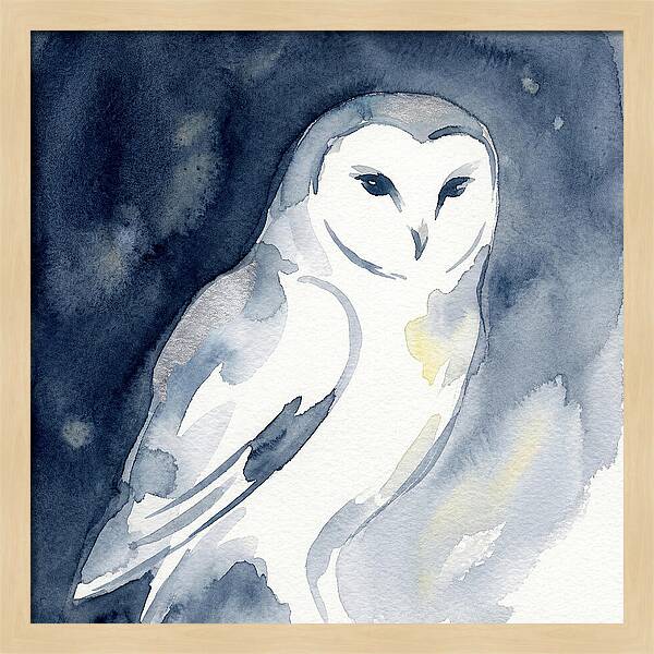 Owl In Moonlight