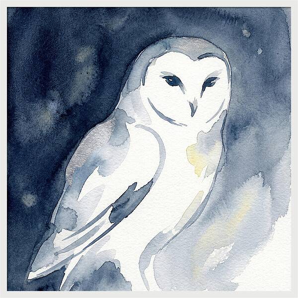 Owl In Moonlight
