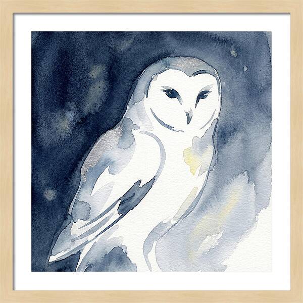 Owl In Moonlight
