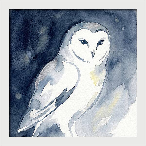 Owl In Moonlight