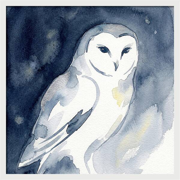 Owl In Moonlight