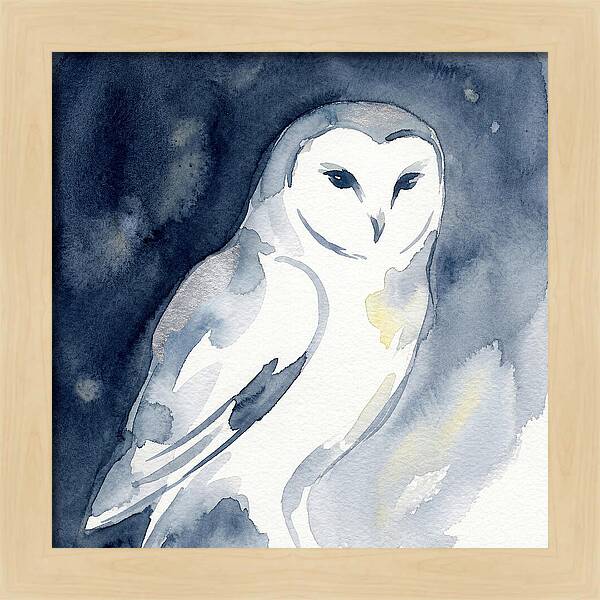Owl In Moonlight