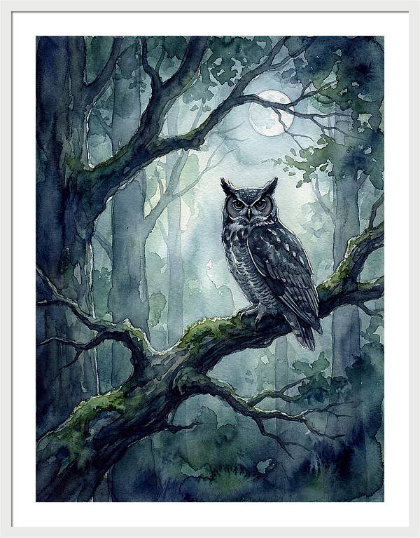 Owl In The Moonlit Forest