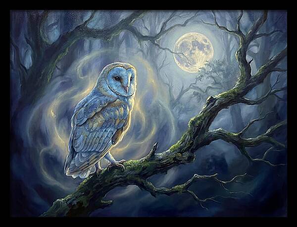 Owl Under Moonlight