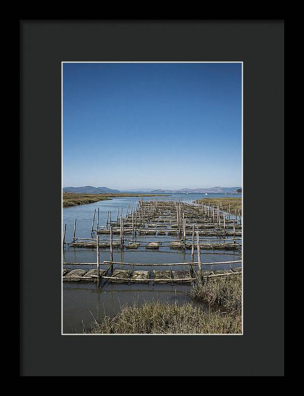 Oyster Bed Living Structure