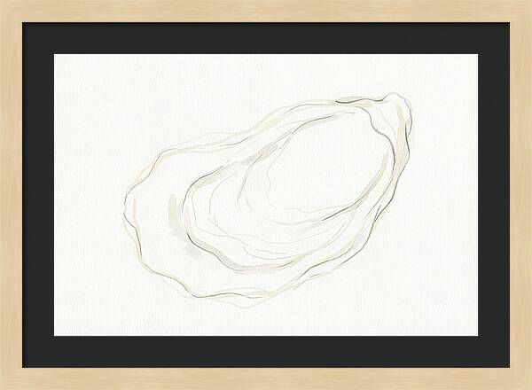 Oyster Minimalism