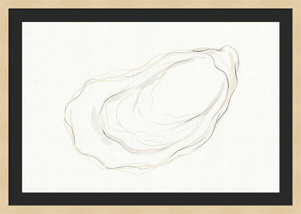 Oyster Minimalism