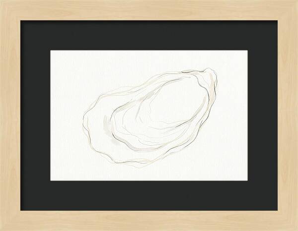 Oyster Minimalism