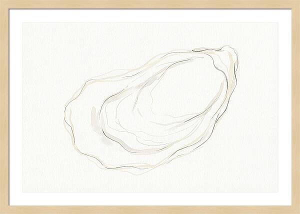Oyster Minimalism
