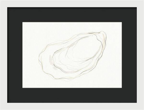 Oyster Minimalism