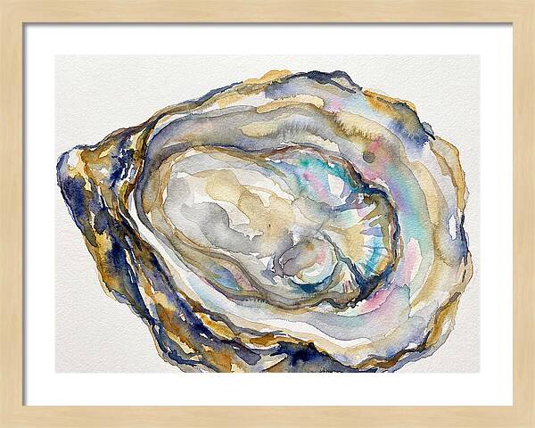 Oyster Watercolor Delight