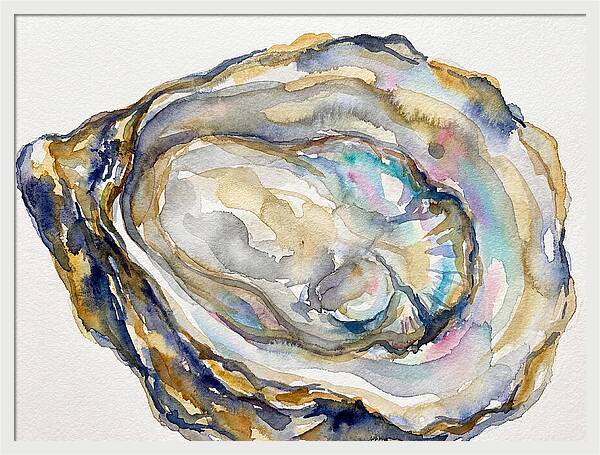 Oyster Watercolor Delight