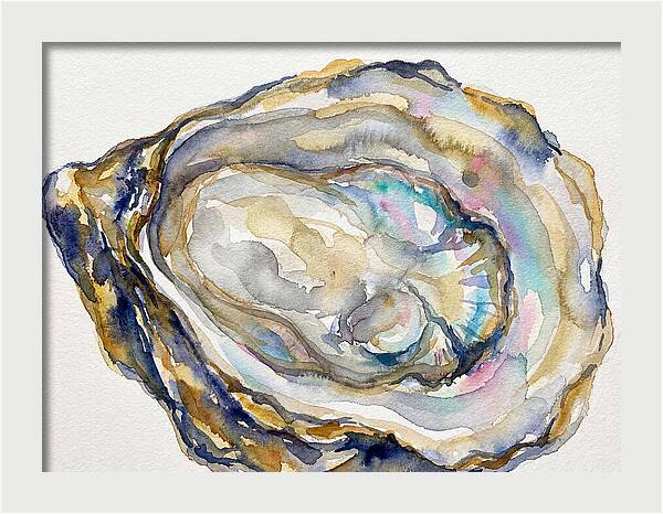 Oyster Watercolor Delight