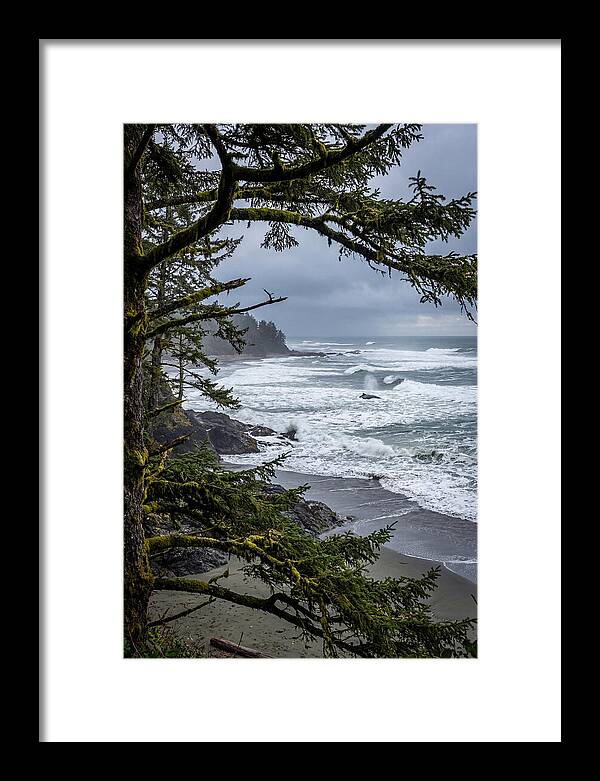 Pacific Rim National Park Serenity