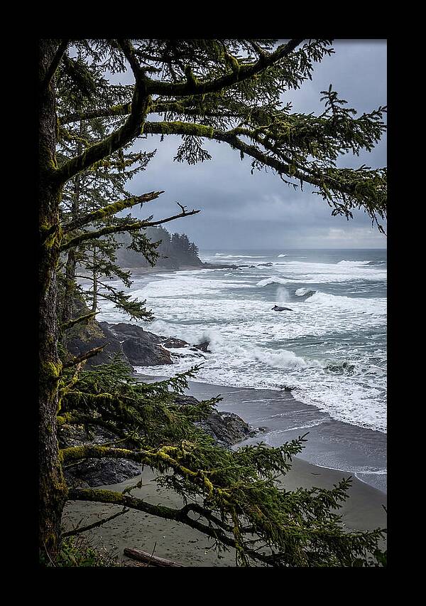 Pacific Rim National Park Serenity