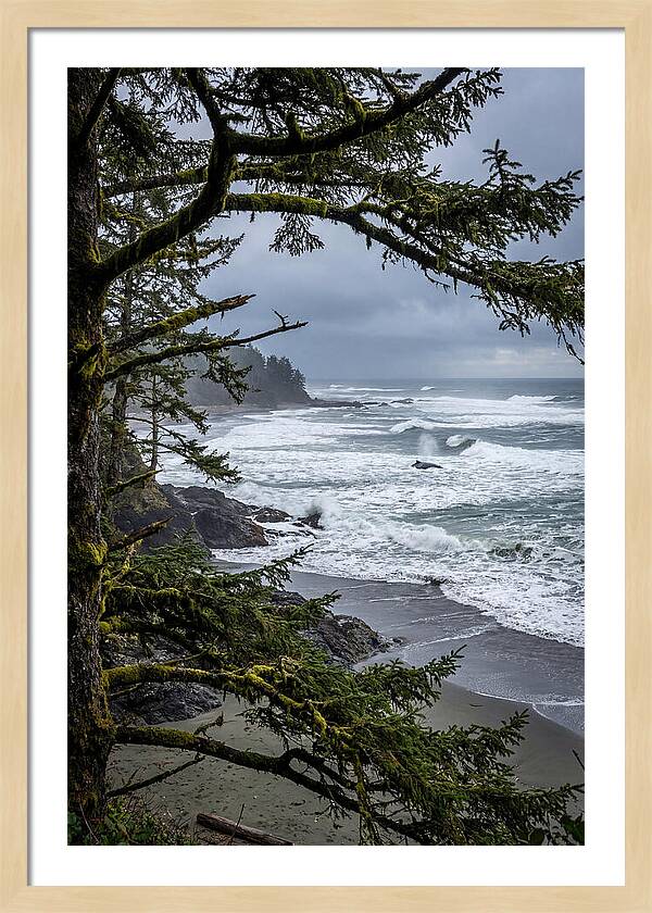 Pacific Rim National Park Serenity