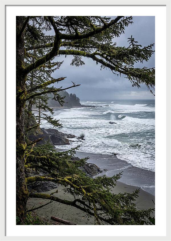 Pacific Rim National Park Serenity