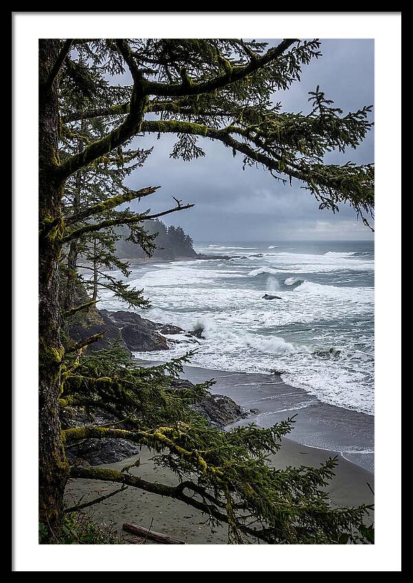 Pacific Rim National Park Serenity