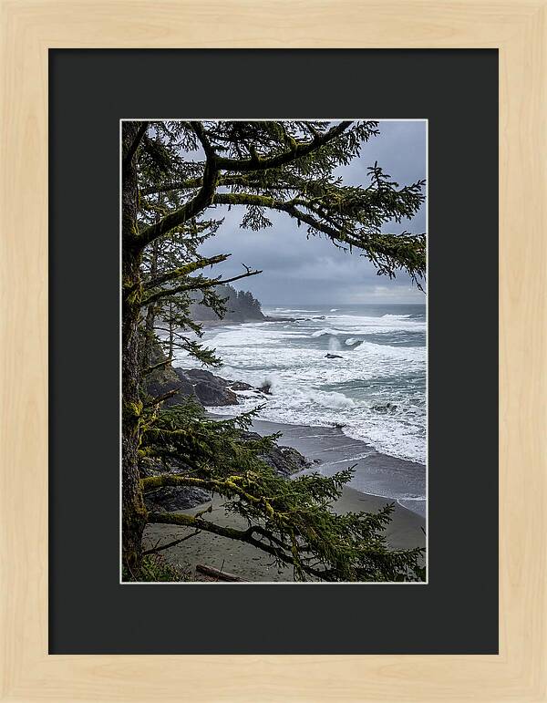 Pacific Rim National Park Serenity