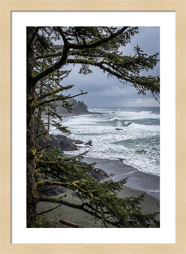 Pacific Rim National Park Serenity