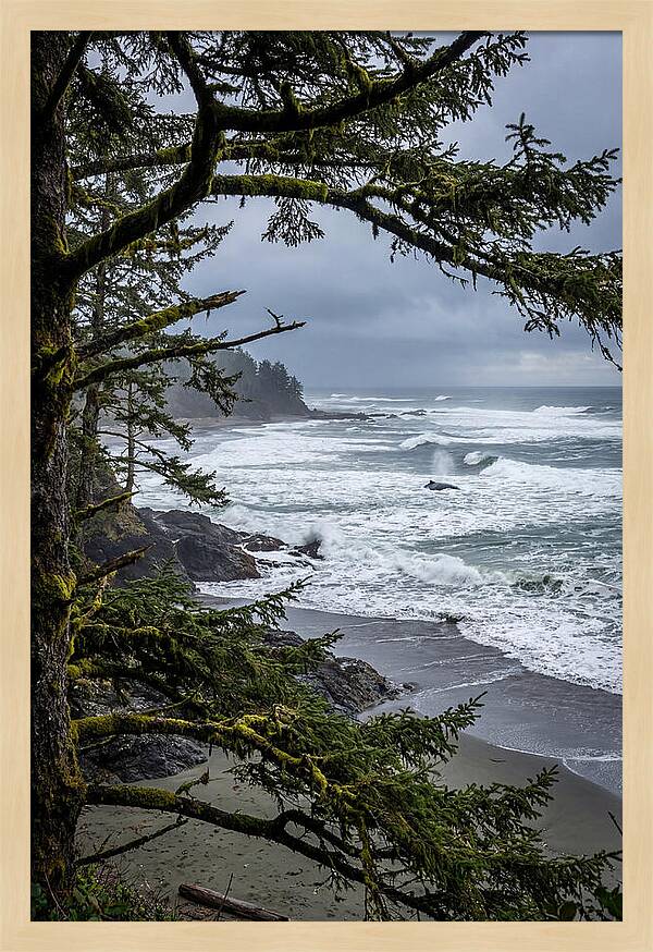 Pacific Rim National Park Serenity