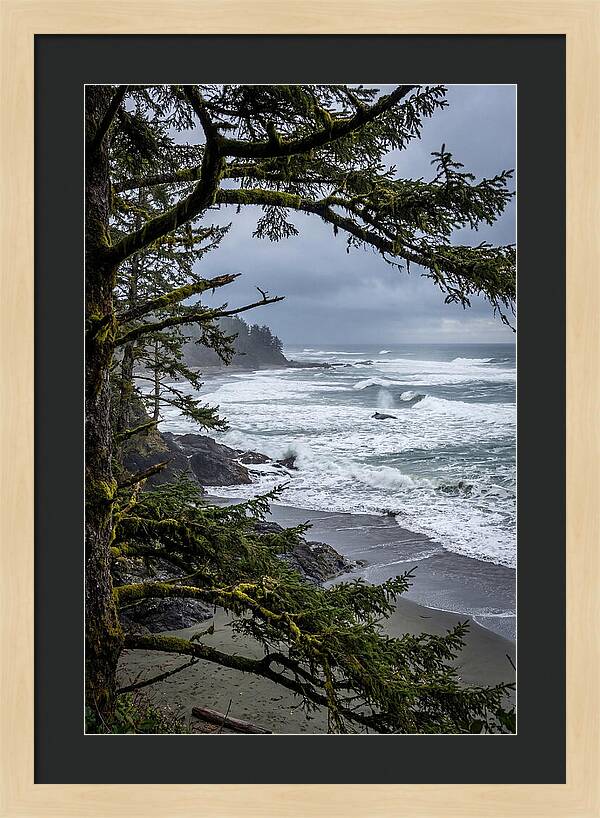 Pacific Rim National Park Serenity