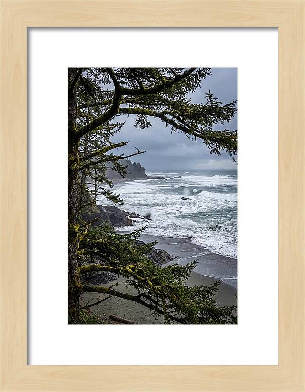 Pacific Rim National Park Serenity