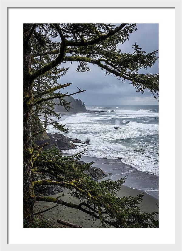 Pacific Rim National Park Serenity