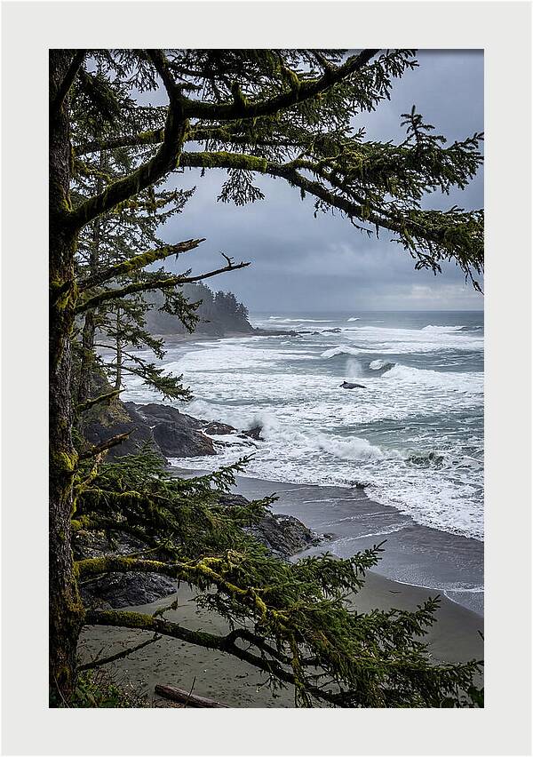 Pacific Rim National Park Serenity