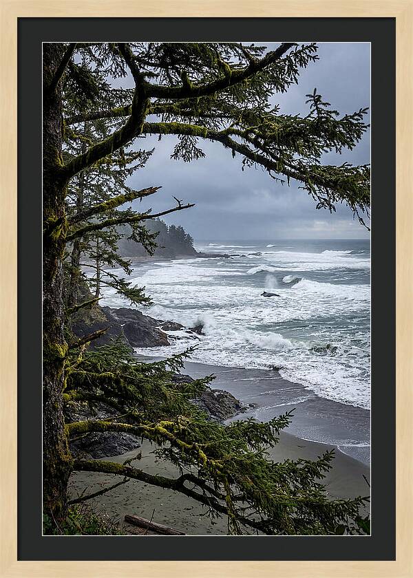 Pacific Rim National Park Serenity