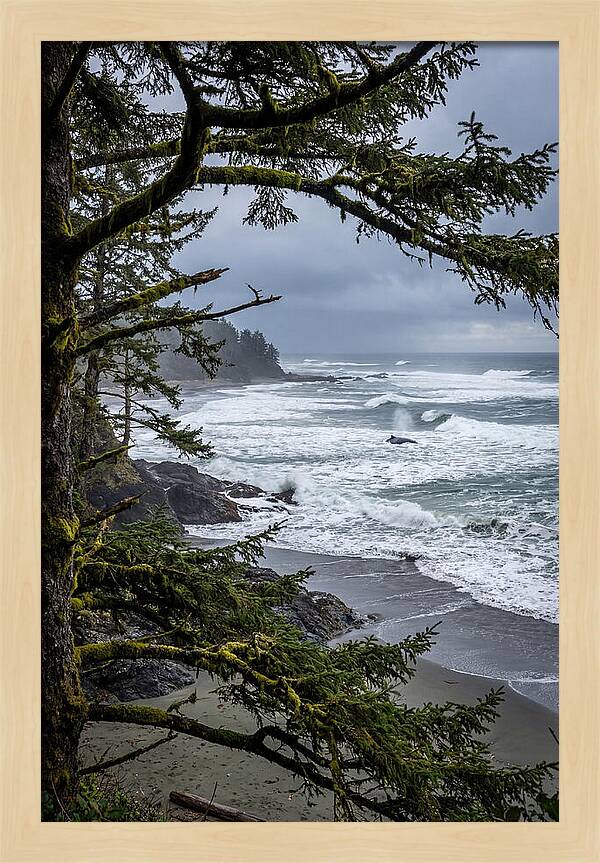 Pacific Rim National Park Serenity