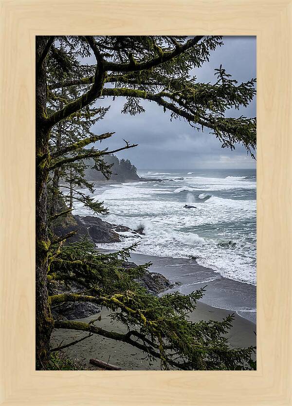 Pacific Rim National Park Serenity
