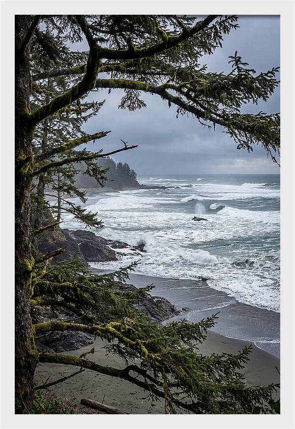 Pacific Rim National Park Serenity