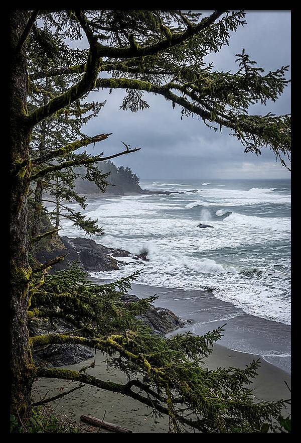 Pacific Rim National Park Serenity