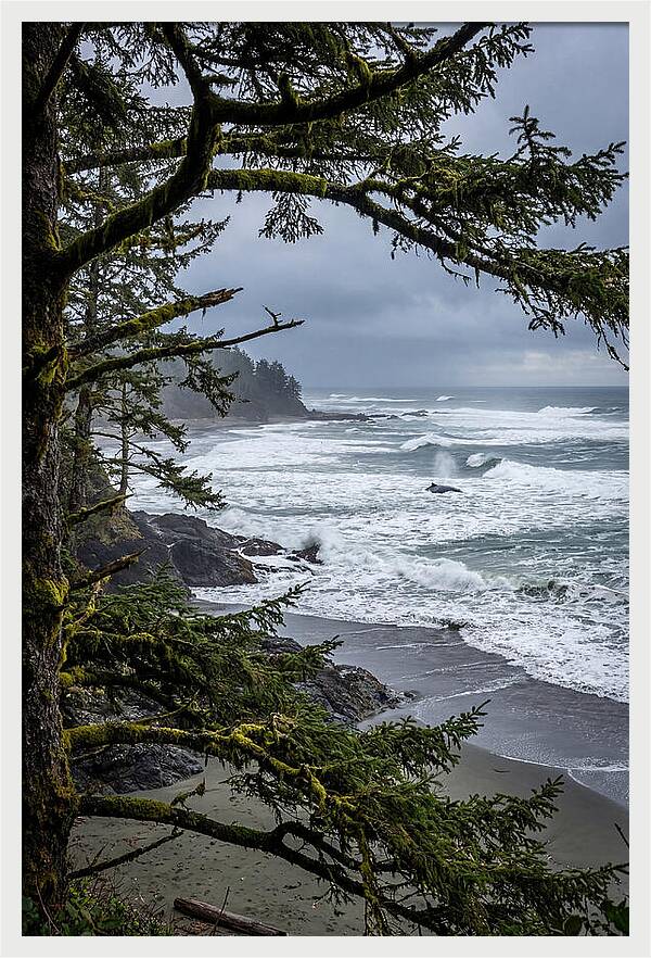 Pacific Rim National Park Serenity