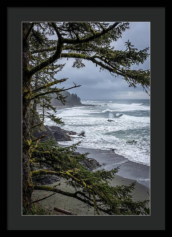 Pacific Rim National Park Serenity
