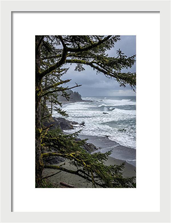 Pacific Rim National Park Serenity