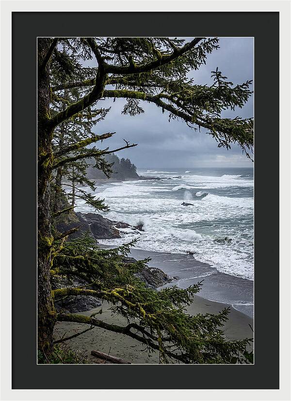 Pacific Rim National Park Serenity