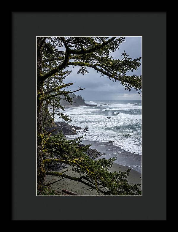 Pacific Rim National Park Serenity