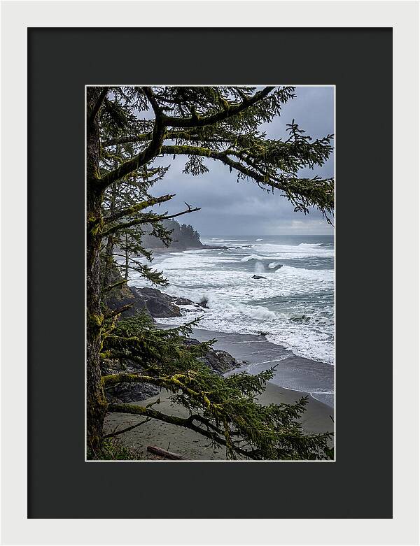 Pacific Rim National Park Serenity