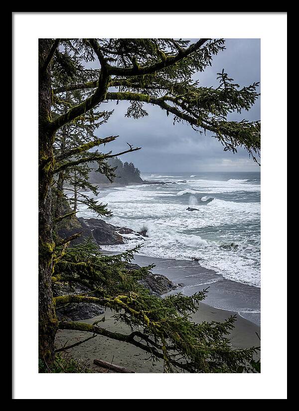 Pacific Rim National Park Serenity