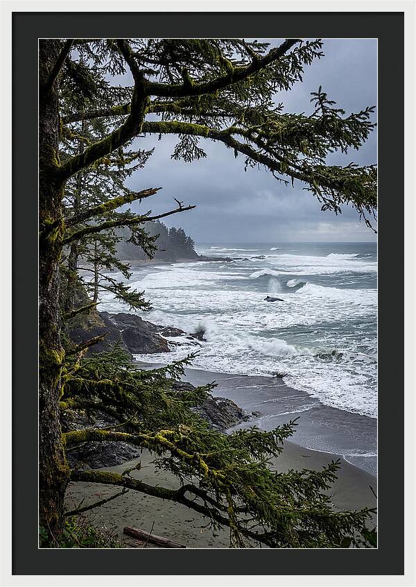 Pacific Rim National Park Serenity