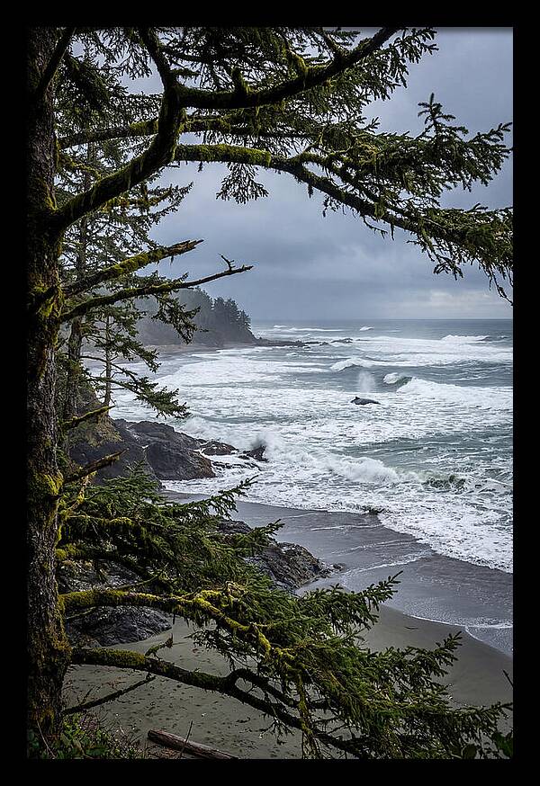Pacific Rim National Park Serenity