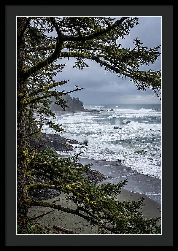 Pacific Rim National Park Serenity