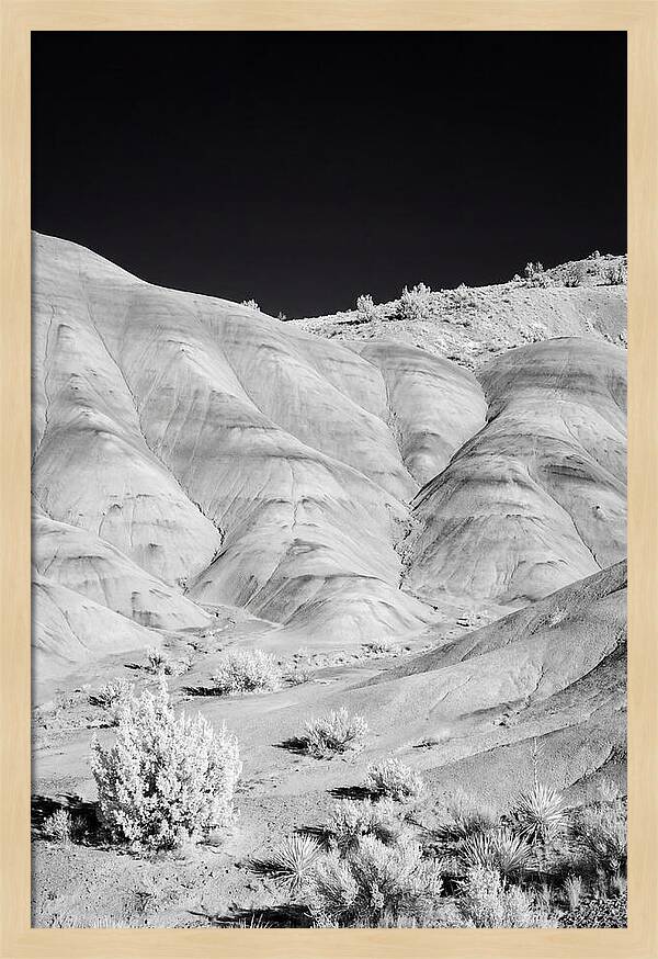 Painted Hills At Golden Hour