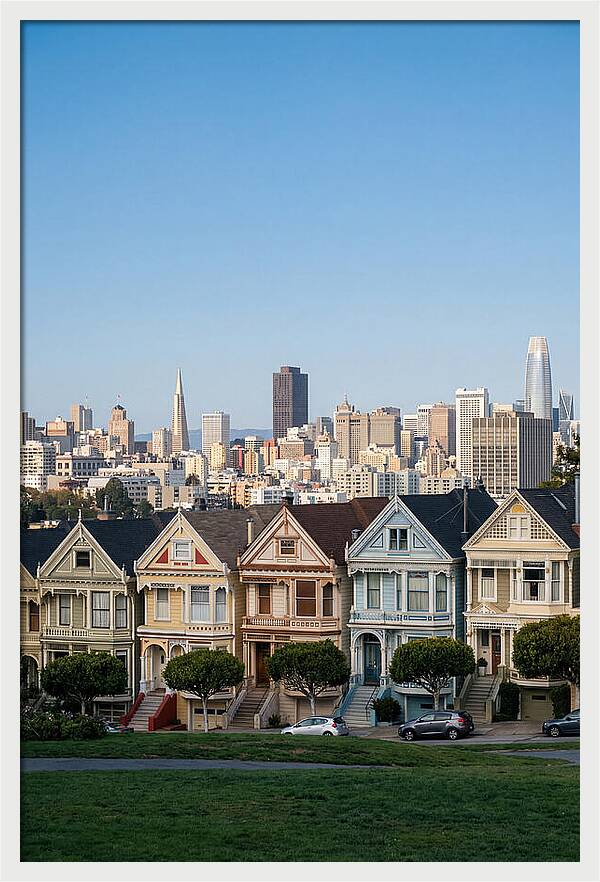 Painted Ladies Overlooking San Francisco