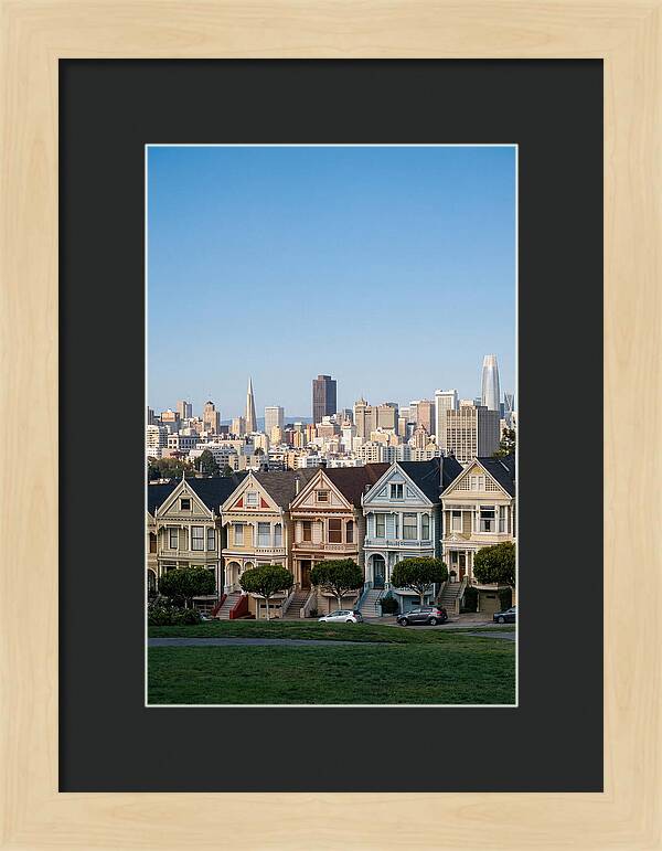 Painted Ladies Overlooking San Francisco