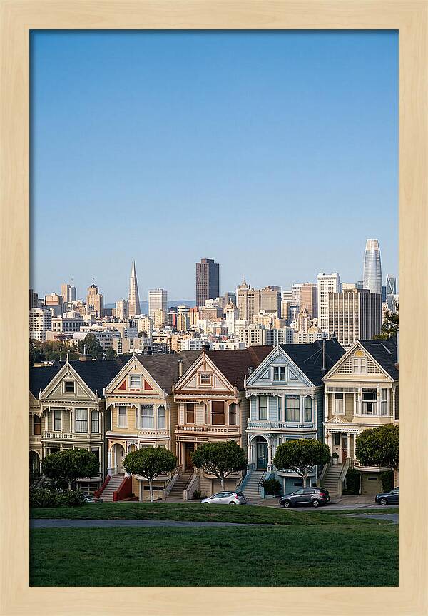 Painted Ladies Overlooking San Francisco
