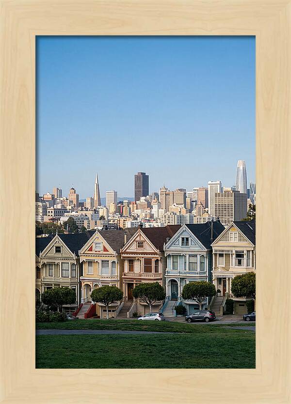 Painted Ladies Overlooking San Francisco
