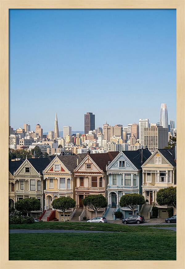 Painted Ladies Overlooking San Francisco